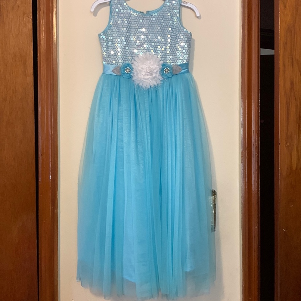 Party dress or Flower girl dress